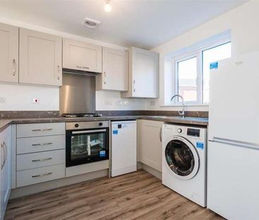 Acklam Gardens, Middlesbrough, TS5 - Photo 6
