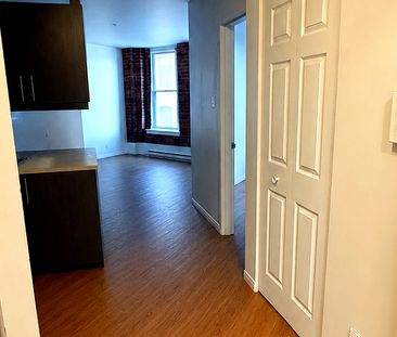 Grand 3½ — 49 Rue King Ouest, App. 203 - Photo 3