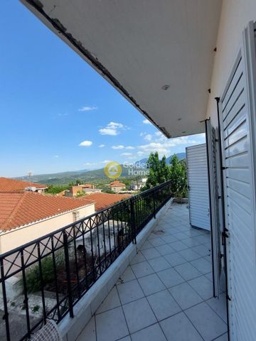 Διαμέρισμα για ενοικίαση Κέντρο (Δαύλεια) - Photo 4