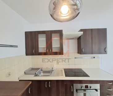 Do wynajecia duży pokój z aneksem kuchennym. - Zdjęcie 3