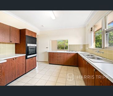 5/43 Albert Parade, Ashfield, NSW 2131 - Photo 3