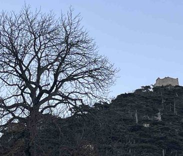 Wohnen zentrumsnah mit grünem Ausblick - Photo 3