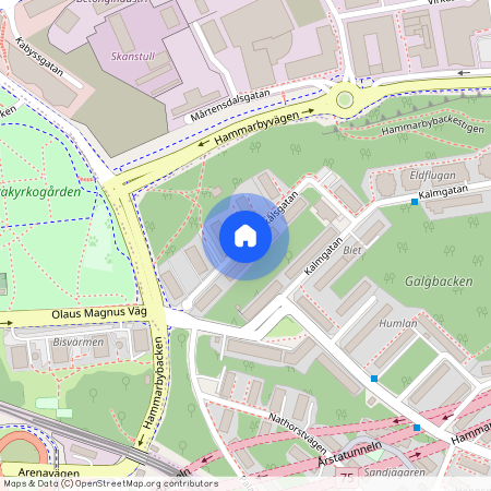 Forsskålsgatan, Johanneshov