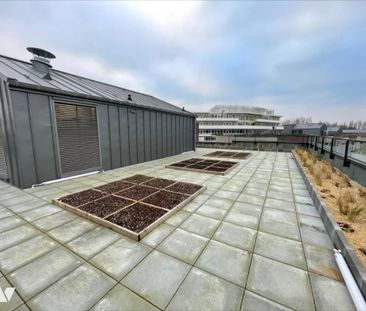 LA MADELEINE - Sensorium - appartement T3 à louer avec loggia, terr... - Photo 1