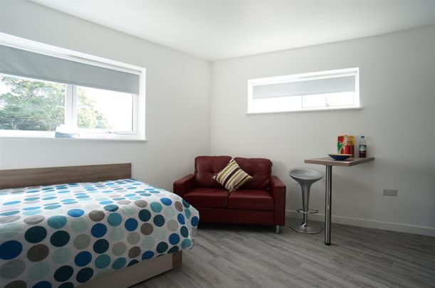 B4, 1 College Road - Photo 1
