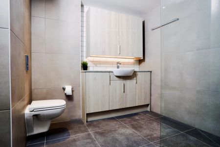 Platinum Accessible Studio - Photo 3