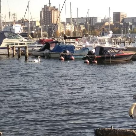 Möbliertes Apartment in beliebter Wohnlage! - Photo 4