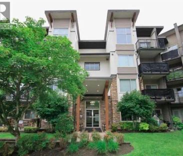 217 11935 BURNETT STREET — 1 Bedroom - Photo 1