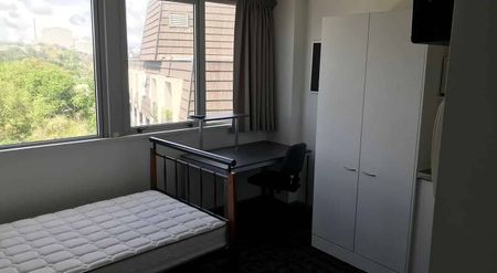 Central Auckland 1BR Oasis w/ Pool! - Photo 5