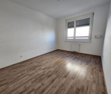 Eggenberger Gürtel 52/05/16 - Photo 4