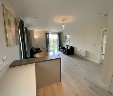 Sycamore Hall, Larkfield Way, Leopardstown, Dublin 18 - Photo 4