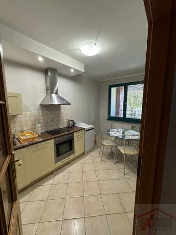 MIESZKANIE na WYNAJEM SZCZECIN (435585) - Photo 3