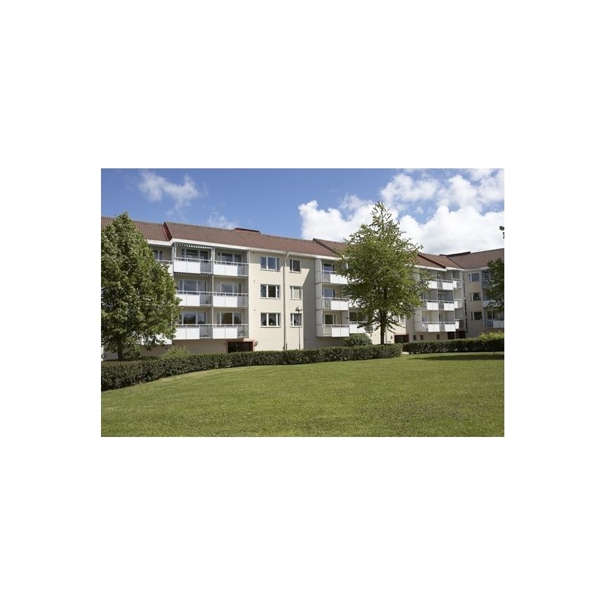 Floragatan 7 - Foto 1