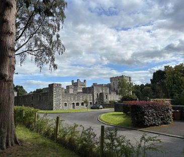 3d Gosford Castle, Markethill, BT60 1FP - Photo 6