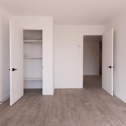 1 CH - 1 SDB - Montréal - $1,499 /mo - Photo 1