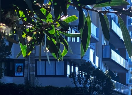 Elizabeth Bay - Photo 4