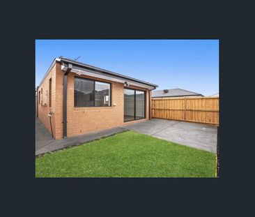 Comfortable and modern three bedroom home! - Photo 4