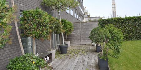 Appartement te huur in Zeebrugge voor € 1.250 met 3 slaapkamers - Photo 3