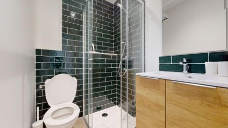 SAHUQUE Colocation 5 chambres à Toulouse - Photo 2