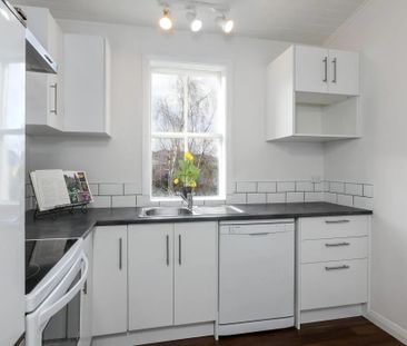 34 Galloway Street, Mornington, Dunedin - Photo 3