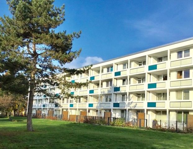 Gemütliche 2-Zimmer-Wohnung mit Tageslichtbad und Balkon - Foto 1