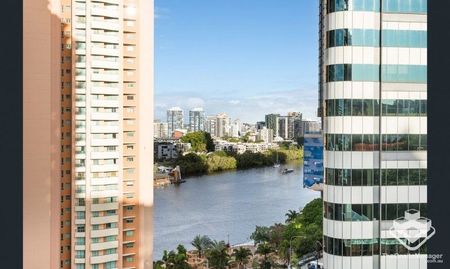 Fully Furnished Apartment for Rental, 540 Queen Street, Brisbane City, QLD - Photo 2