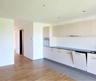 Gemütliche 4.5 Zimmerwohnung mit Balkon und Aussicht ins Grüne. - Foto 3