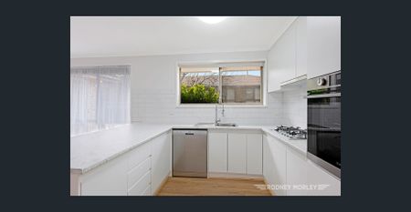 A HUGE STAND ALONE UNIT! - Photo 5