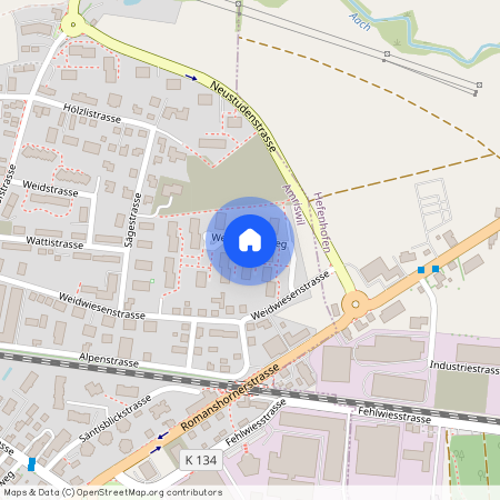 Weidwiesenweg 7, 8580 Amriswil