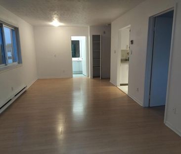 Appartement 1 chambre — 1 mois gratuit ! - Photo 3