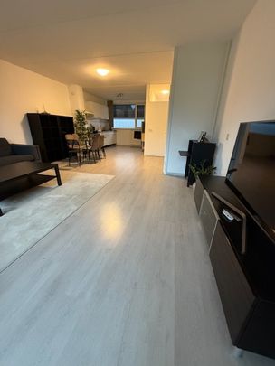 Looyenland 63 - Photo 1