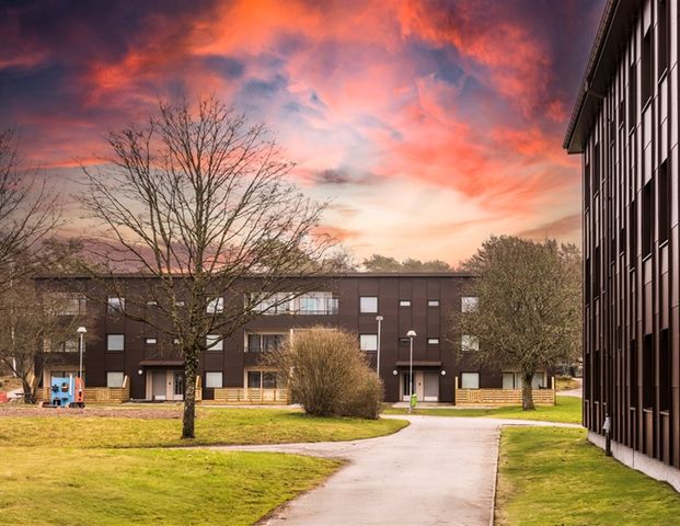 Hantverksgatan 21 - Foto 1