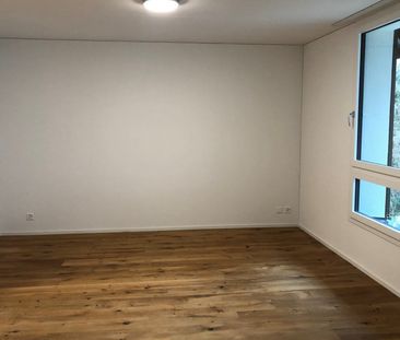 2.5 Zimmer, 53 m², EG - Foto 4