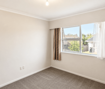117 Levers Road, Matua - Photo 4