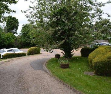 Ware, SG12 - Photo 5