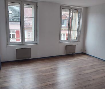 Location Appartement 1 pièce 30m² ALTKIRCH 68130 - Photo 2