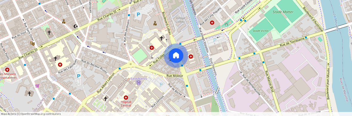 50 BOULEVARD DU 26EME R I, Charles Iii Sud Jardiniers, Nancy