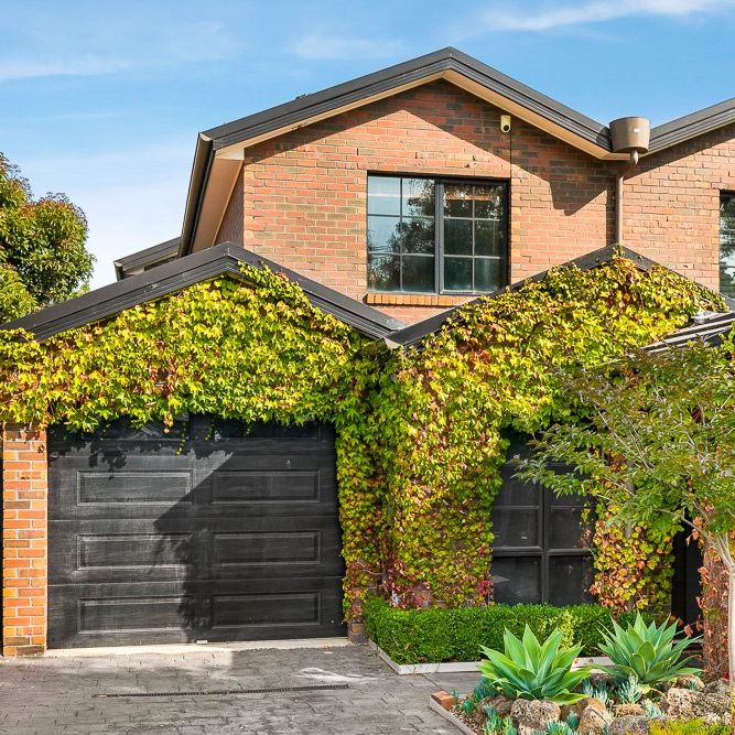 Stylish and Spacious Home with Solar and Brand New Flooring in Heart of Aberfeldie - Photo 1