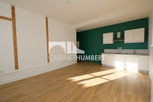 Location Appartement 2 pièces 47m² ST ETIENNE 42000 - Photo 1