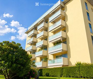 Appartamento 3.5 locali con terrazza coperta e giardino - Foto 4