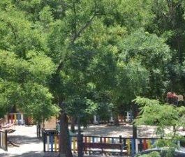 Piso de alquiler en Calle Berenisa, 14, Aravaca - Photo 3