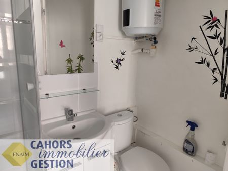 Location Appartement 1 pièce 13m² CAHORS 46000 - Photo 3