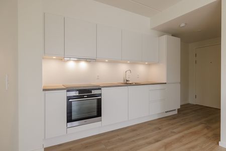 Nyopførte lejlemål i flot og moderne boligkompleks - Foto 5