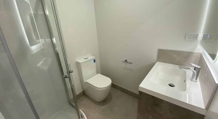 Short walk to Waikato Hospital - Photo 5