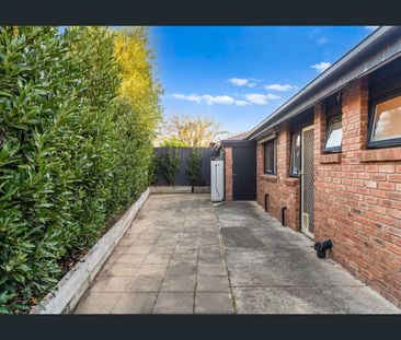 Light-Filled Hidden Gem - Photo 4