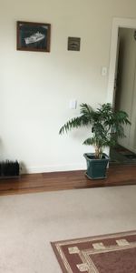 Cute Cottage - Photo 4