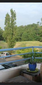 Apartment - Photo 4