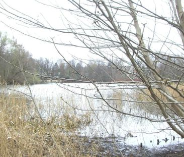 Sonniges 2-Bett Zimmer für 2 ♀♀/ ♂♀ - Photo 1