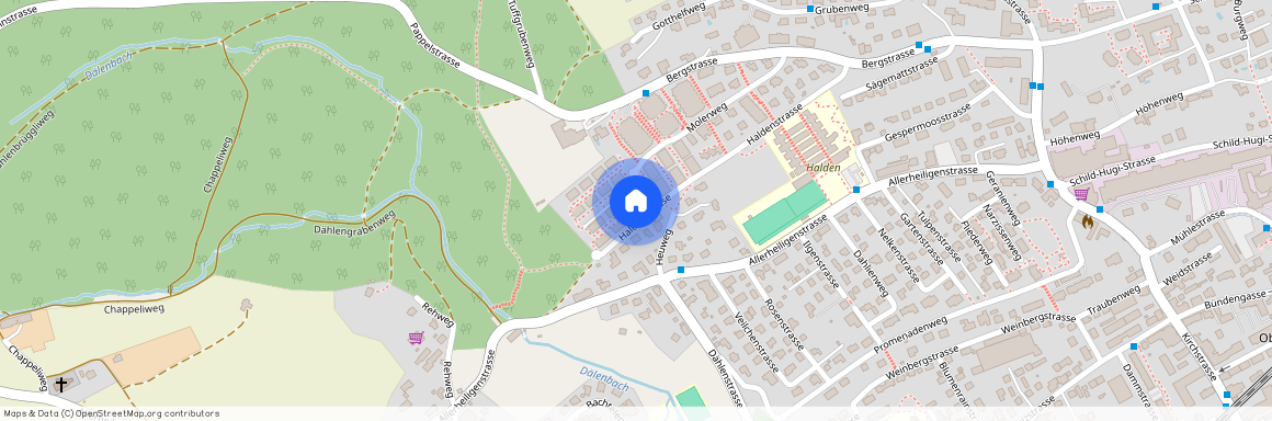 Haldenstrasse 50, 2540 Grenchen