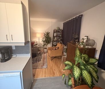 475 41e rue Ouest - Photo 5